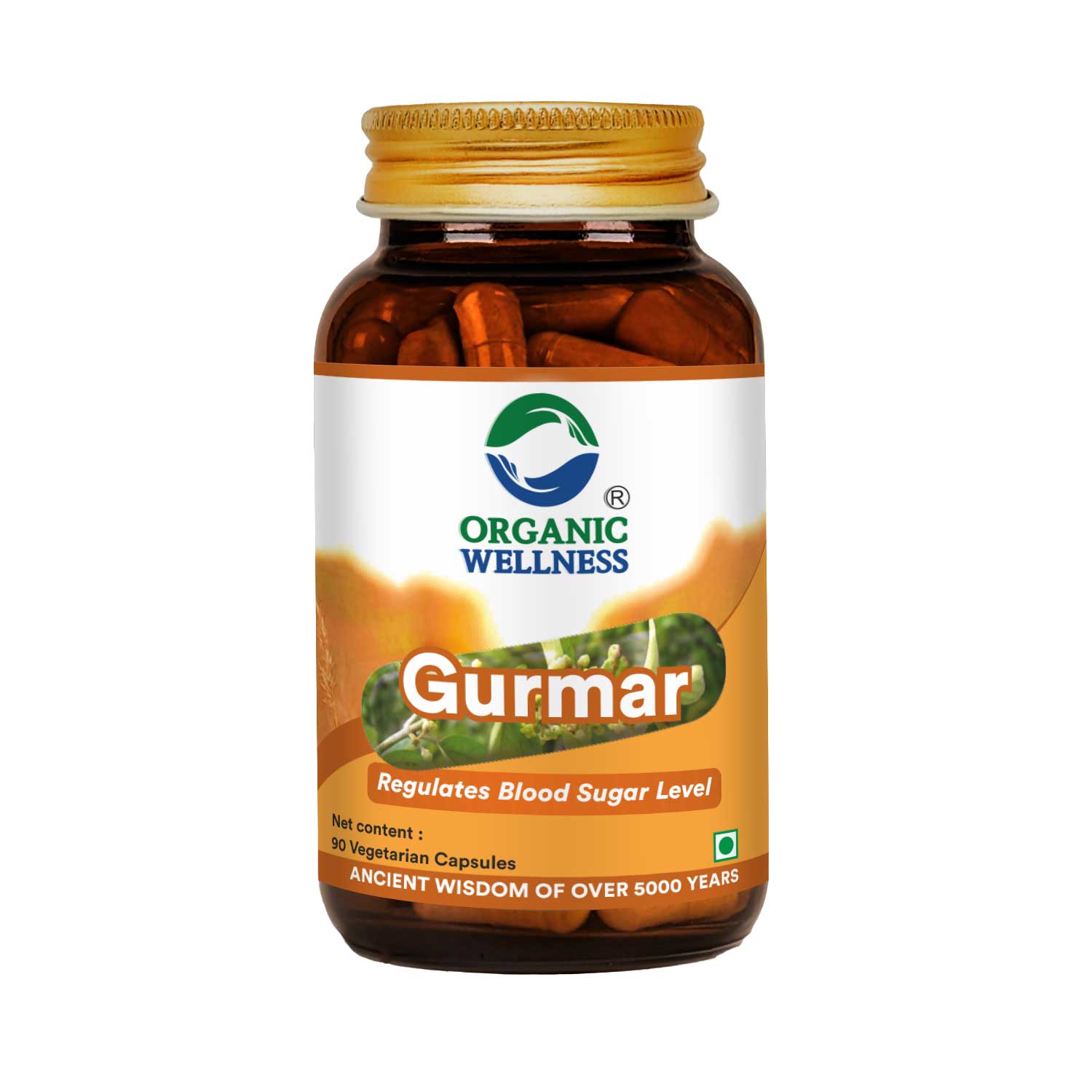 Gurmar (Regulates Blood Sugar Level ) -Sugar Craving Control, Versatile Application, -No Artificial Additives- Organic Wellness - 90 Vegetarian Capsules