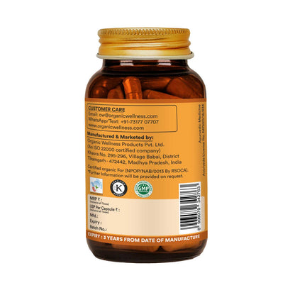 Gurmar (Regulates Blood Sugar Level ) -Sugar Craving Control, Versatile Application, -No Artificial Additives- Organic Wellness - 90 Vegetarian Capsules