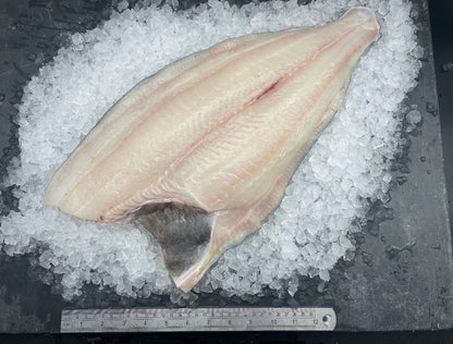 Fish | Atlantic Halibut – Frozen Fish -Premium Seafood– No Antibiotics  Seafood And Hormone Free-Nature&