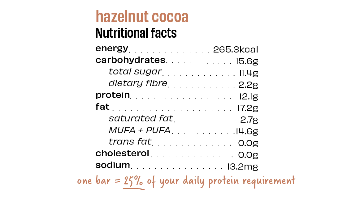 Hazelnut Cocoa 12g Protein Bar – No Added Sugar &amp; Soy Free – The Whole Truth – 52gm