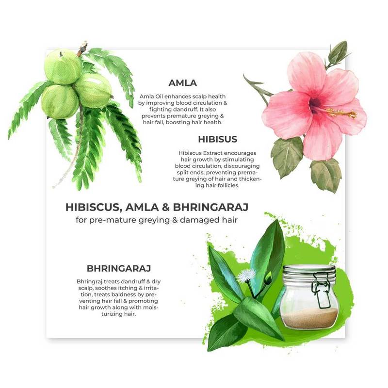 Hair Oil for Premature Greying Fortified with Hibiscus + Bhringaraj-Improves Scalp Health– Juicy Chemistry – 100ml