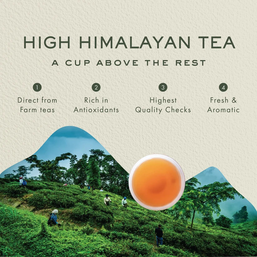 Tea | Black Tea (Loose Leaf) - Darjeeling - Organic-No preservatives - Makaibari - 250gm