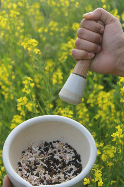 Himalayan Gooseberry Seasoning - Pahadi Amla, Sendha Namak, Ajwain - Natural - Indian - Rich in Vitamin C - Bugyaal - 80gm