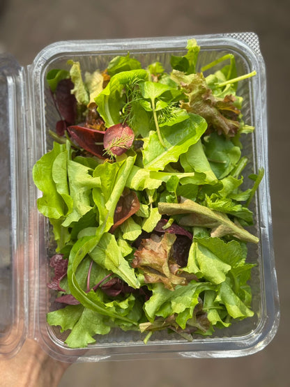Baby Leaf Salad | Locally Grown – Organically Grown – 1 Box