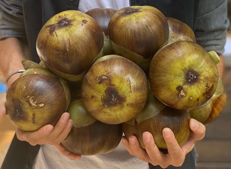Fresh Ice Apple (Tadgola)  - 5 Piece