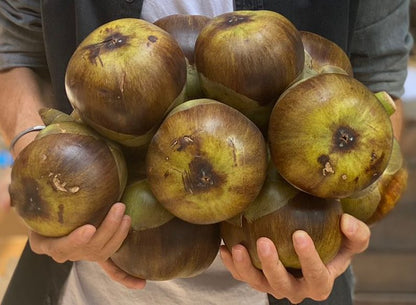 Fresh Ice Apple (Tadgola)  - 5 Piece