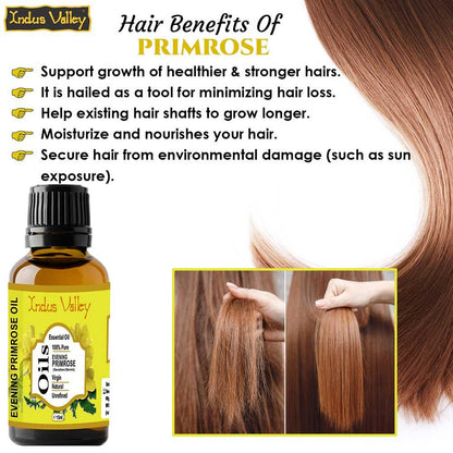 Essential Oil | Evening Primrose Essential Oil - Unrefined - 100% Pure &amp; Organic - No added chemicals &amp; No Pesticide - Indus Valley -