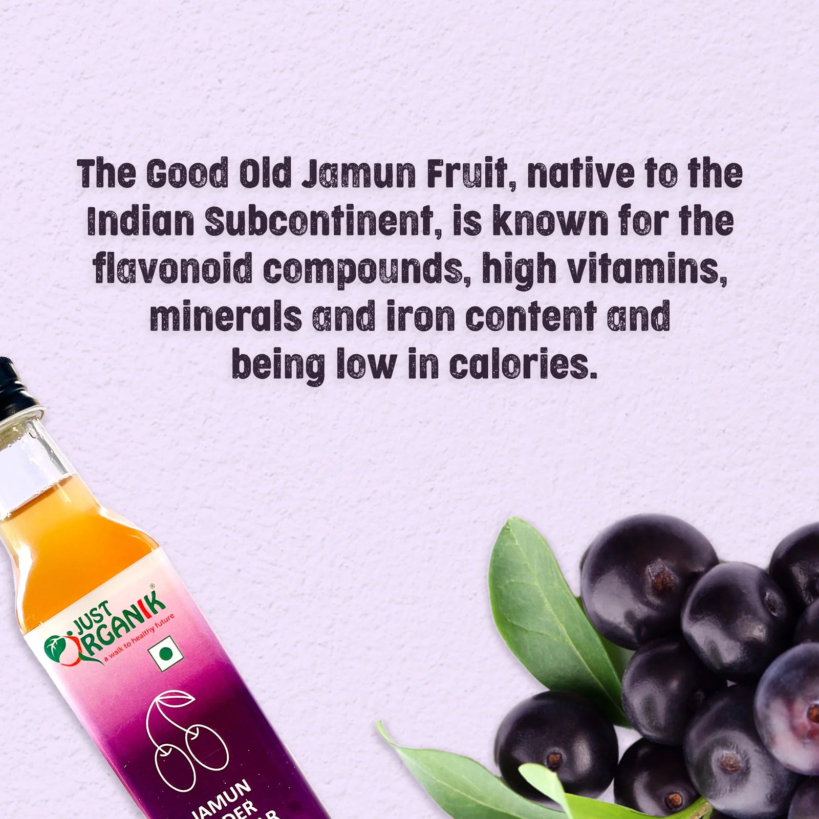 Vinegar | Jamun Cider Vinegar - Raw - Unfiltered - Unpasteurised - No Added Chemicals &amp;amp; Non GMO - Just Organik - 250ml