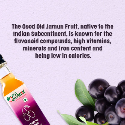Vinegar | Jamun Cider Vinegar - Raw - Unfiltered - Unpasteurised - No Added Chemicals &amp;amp; Non GMO - Just Organik - 250ml