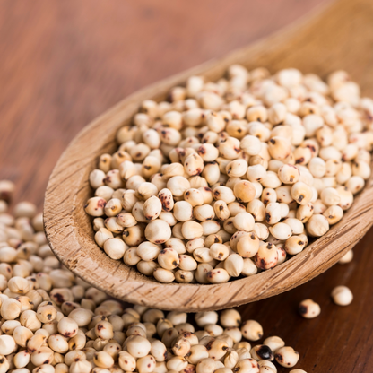 Jowar Whole | USDA Organic - Naturally Gluten Free, Rich in Fiber, Bone Health &amp;amp; Aids Digestion - Just Organik - 500gm
