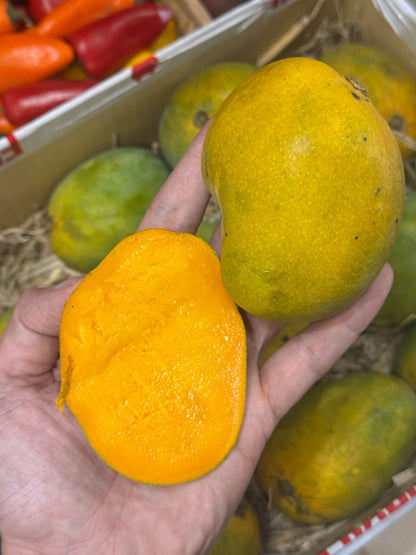Mango | Kalapadi Mango (Kerala) - Organically Grown - Carbide Free &amp; Naturally Ripened