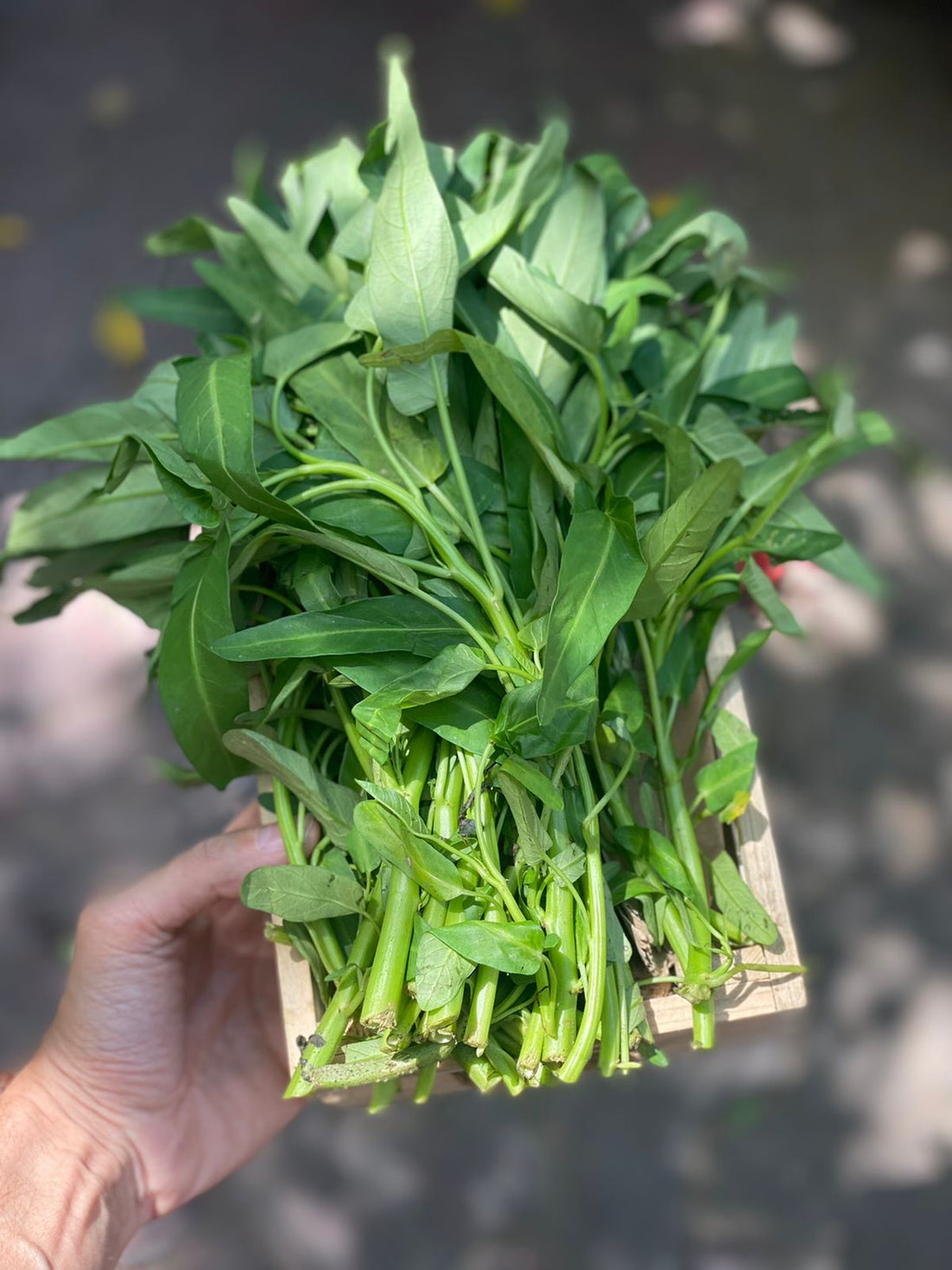 Kalmi Saag | (Morning Glory) – Low calorie, Rich In Antioxidants, Vitamins &amp; Minerals – Organically Grown
