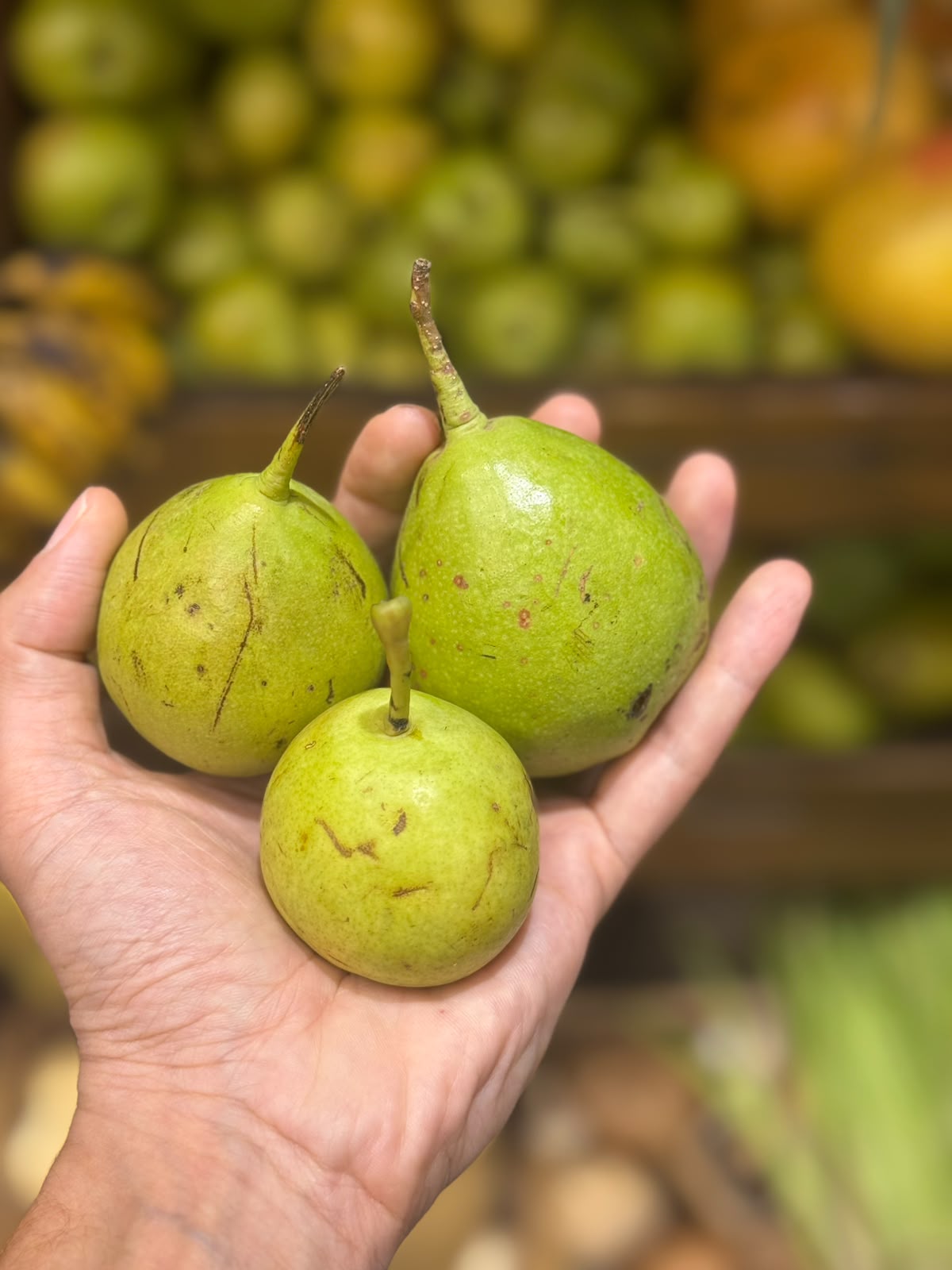 Fruit | Kashmiri Naak - Organically Grown Clean Fruit from Kashmir