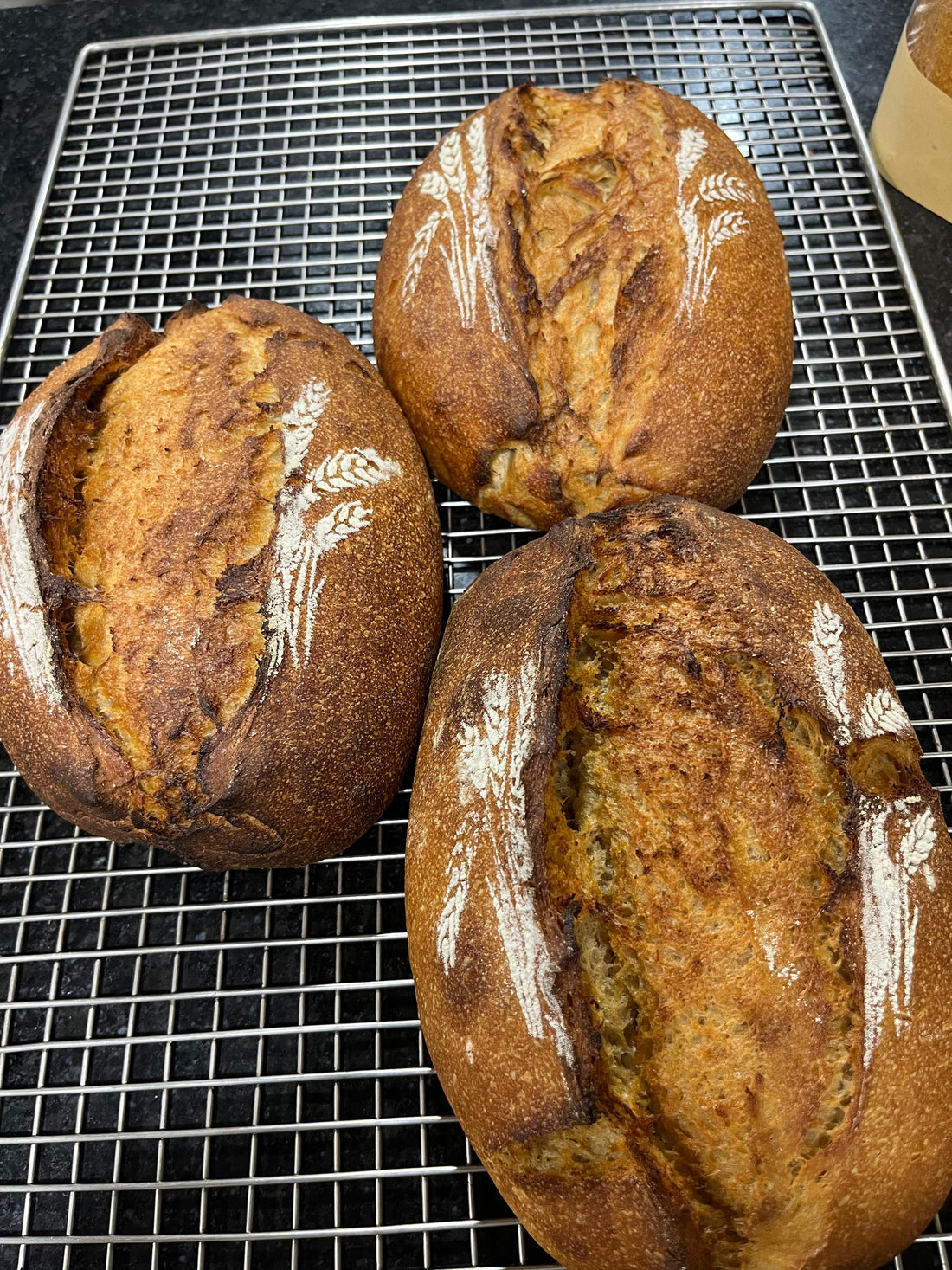 Bread | Khapli Sourdough Bread - Vegan, Low On Gluten, No Bread Improver, Emulsifiers, Stabiliser, No Preservatives & No Flavour Enhancer Or No Refined Sugar - Nature&