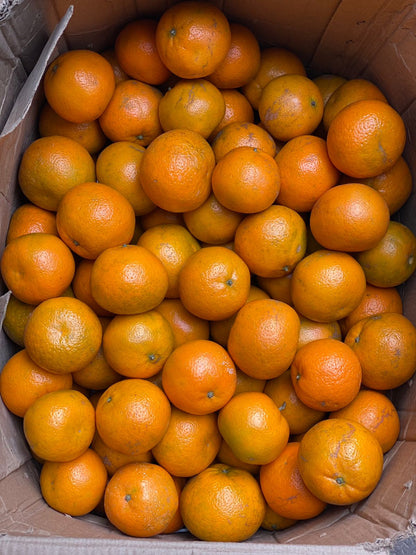 Kinnow (Ganganagar) - Organically Grown