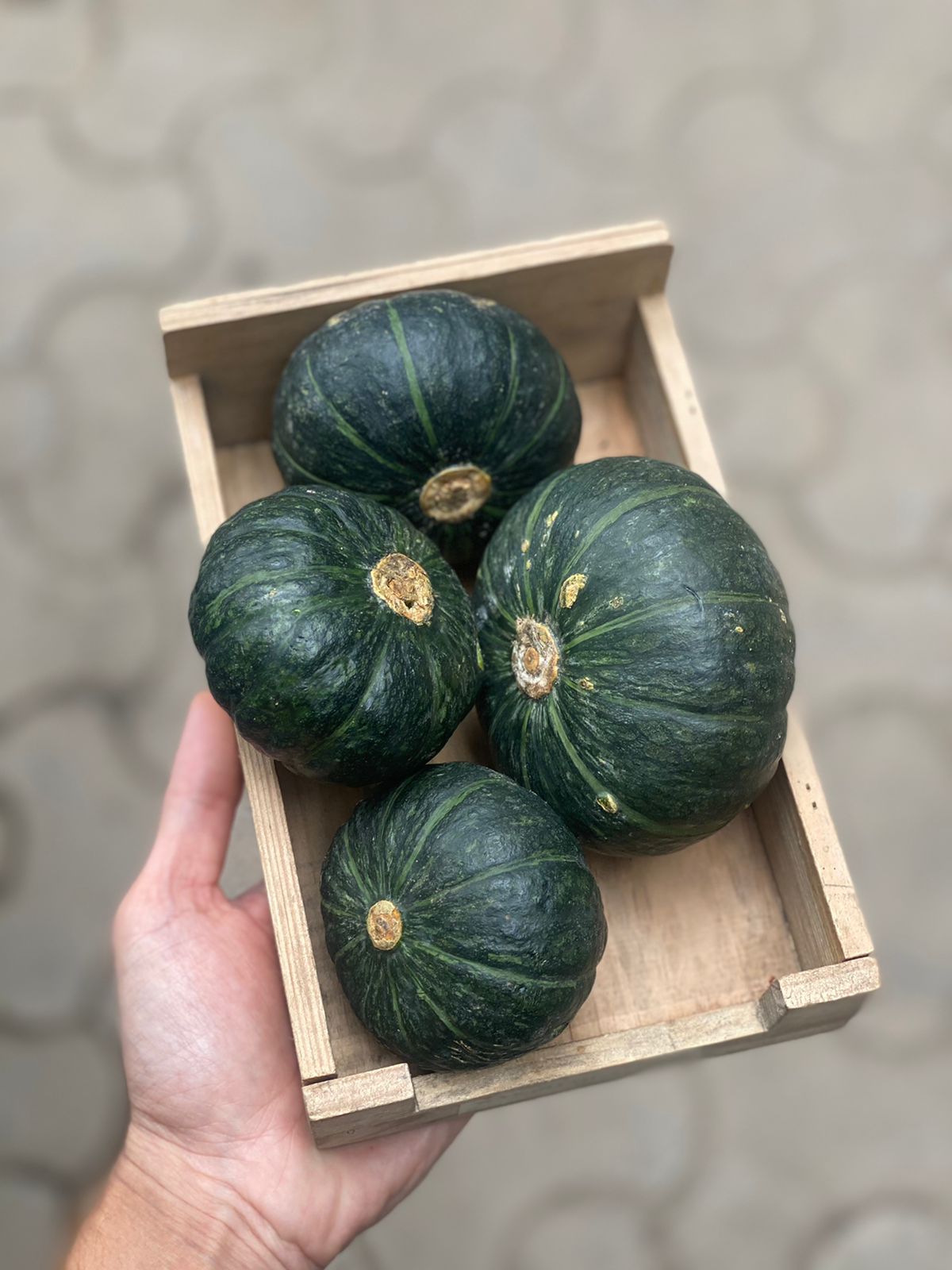 Kobucha | Theerdhar (Himachal Pradesh) - Organically Grown