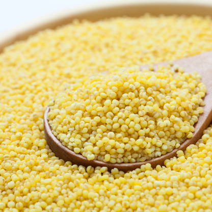 Kodo Millet | High Fibre &amp; Rich In Niacin - Just Organik – 500gm
