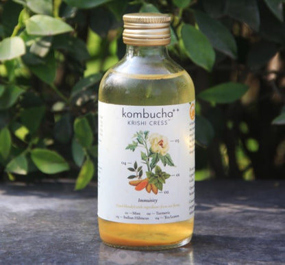 Kombucha Immunity - Mint, Turmeric &amp;amp; Indian Hibiscus – Krishi Cress – 200ml