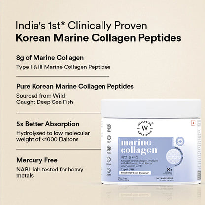 Collagen | Marine Collagen (Blueberry Mint Flavour) - Gluten Free, Sugar Free &amp; Keto Friendly – Wellbeing Nutrition - 120gm
