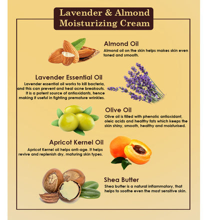 Moisturizing Cream | Lavender &amp; Almond Moisturizing Cream - Vegan – Ancient Living – 30gm
