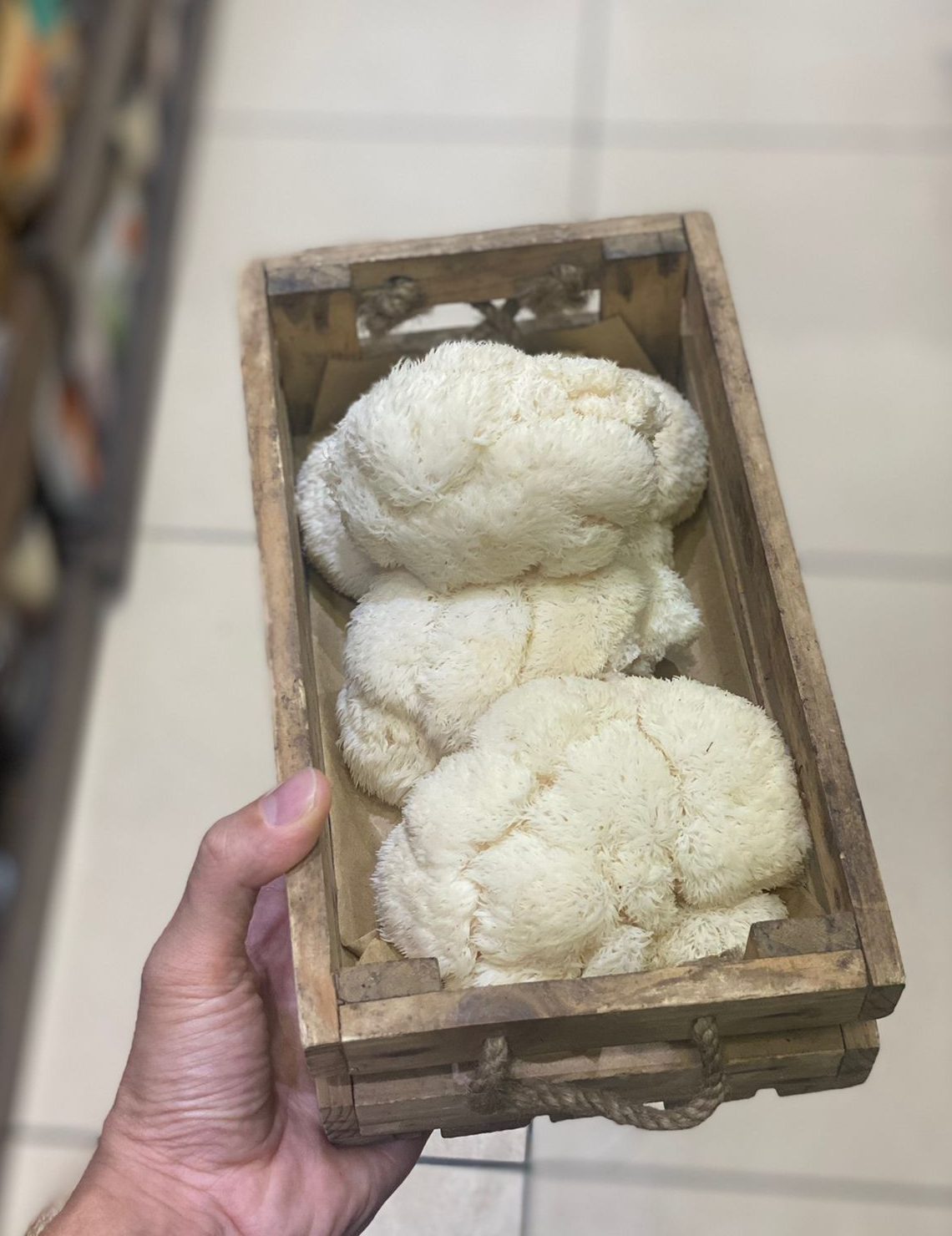 Lion’s Maine Mushroom | Reduce The Risk Of Heart Diseases – Organically Grown – 300gm