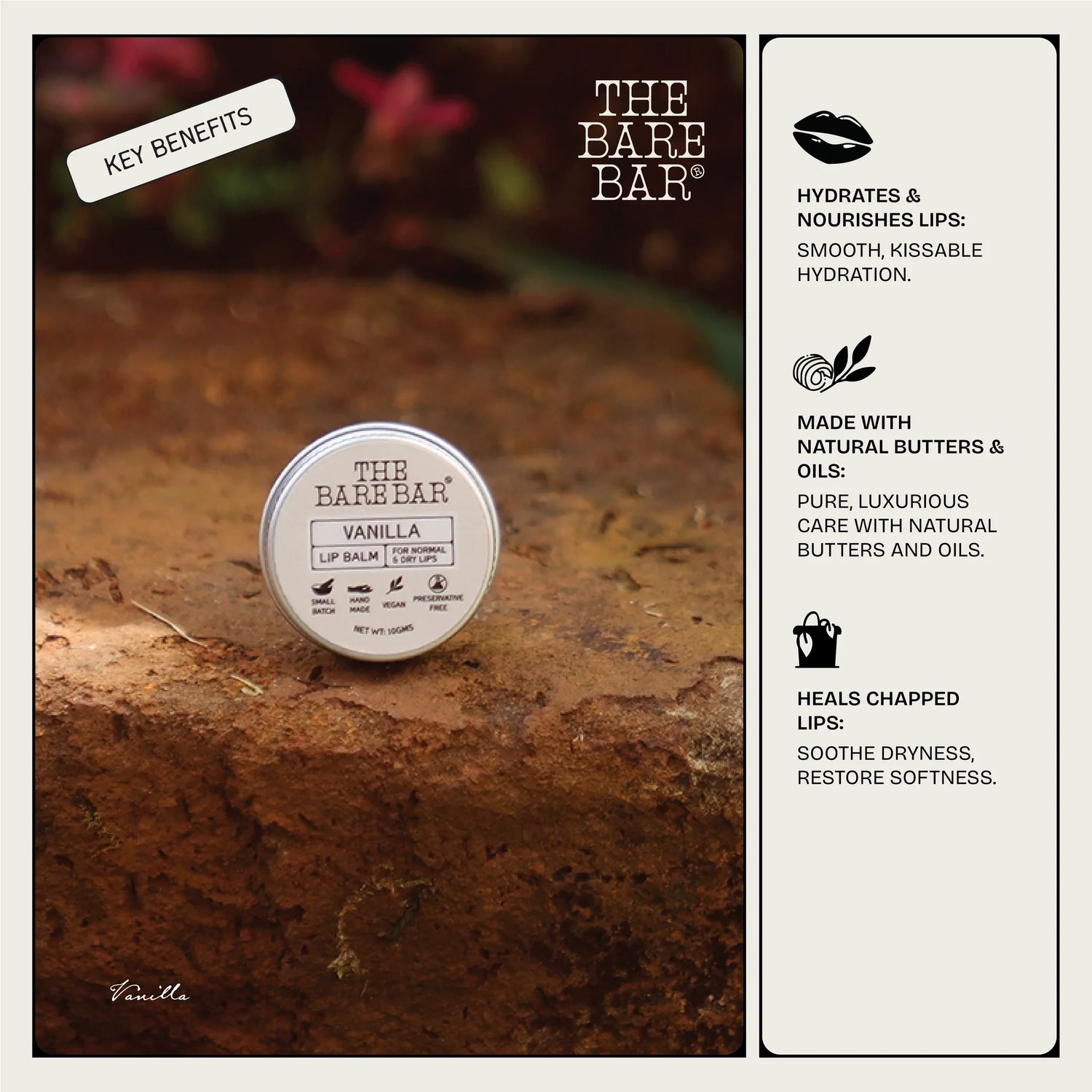 Lip Balm | Vanilla - Hydrates &amp; Nourishes Lips - No Artificial Flavors, Preservatives &amp; Mineral Oil Free  - The Bare Bar - 10gm