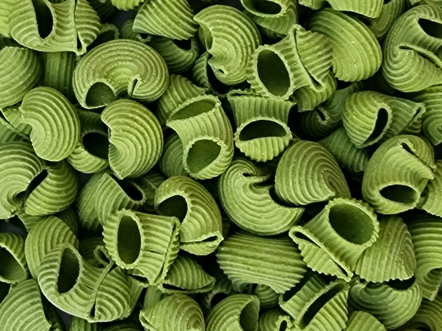 Pasta | Little Maccheroni &