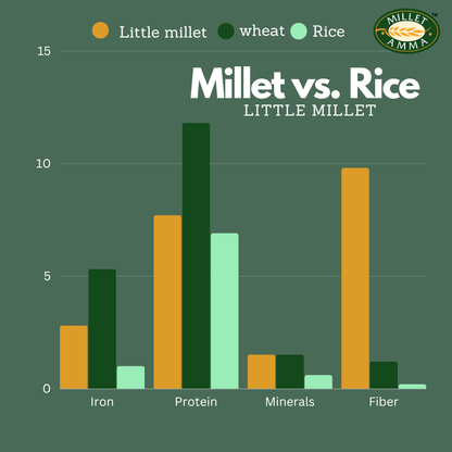 Noodles | Little Millet Hakka Noodles -No Preservative- Millet Amma- 175gm