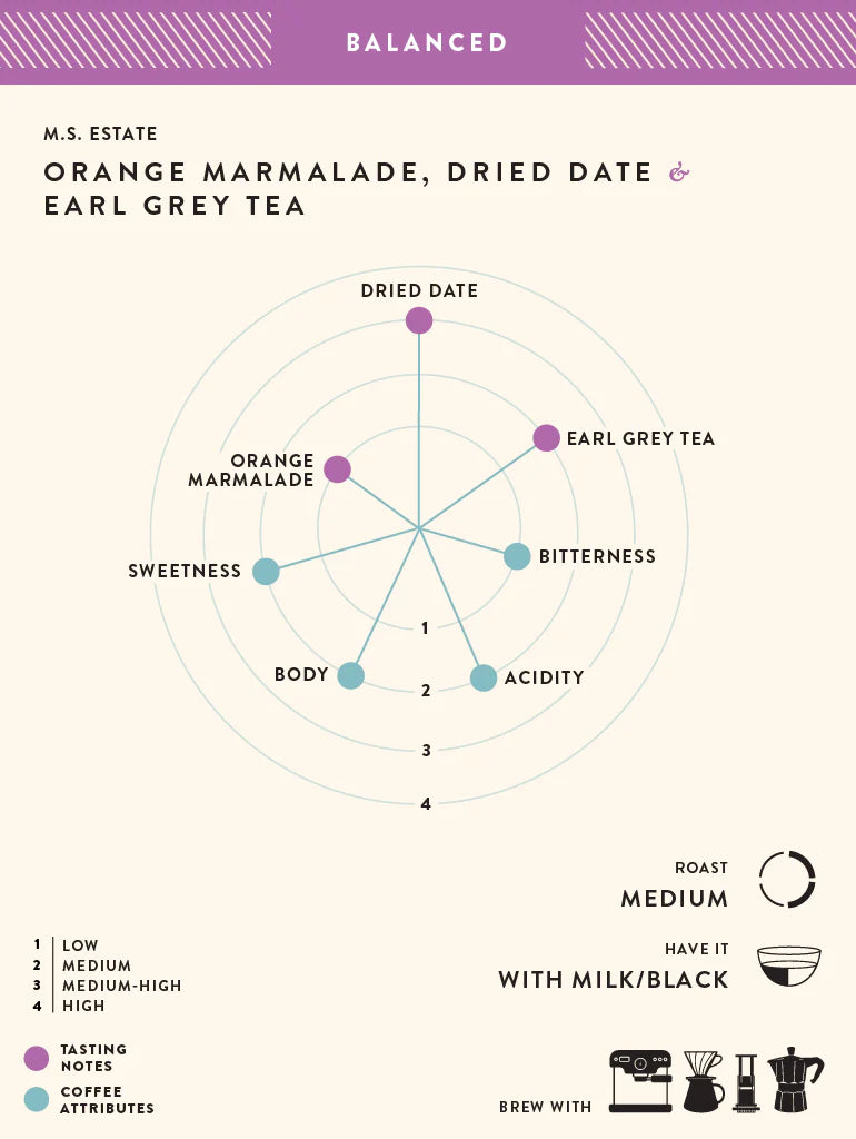 Coffee | M.S Estate (Coffe Filter) – Orange Marmalade – Dried Dates – Earl Grey Tea – No Added Preservatives, Additives &amp; No Added Flavouring – Blue Tokai – 250gm