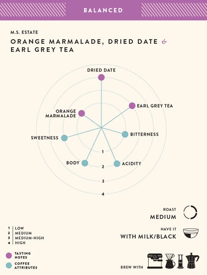 Coffee | M.S Estate (Coffe Filter) – Orange Marmalade – Dried Dates – Earl Grey Tea – No Added Preservatives, Additives &amp; No Added Flavouring – Blue Tokai – 250gm