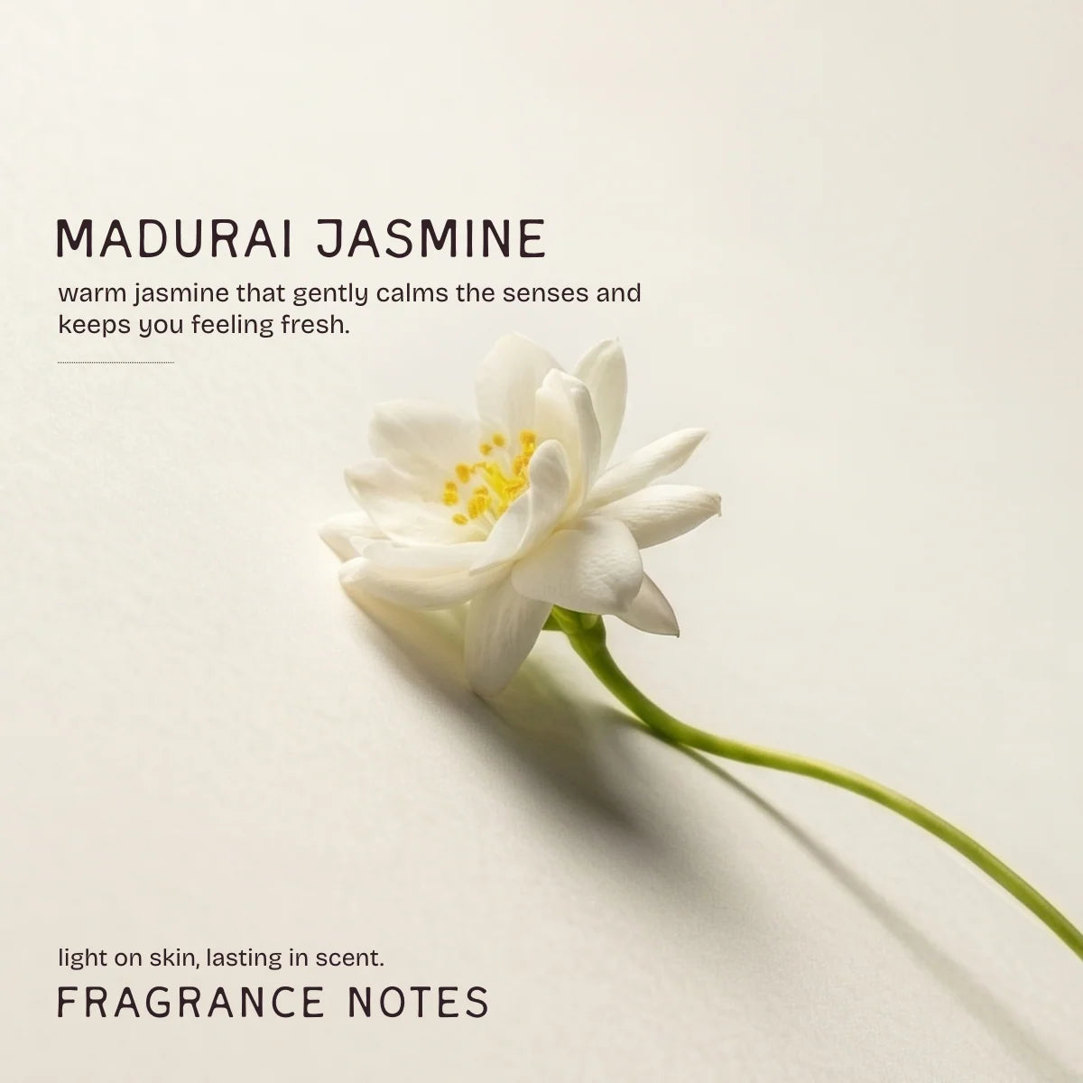 Deodorant | Madurai Jasmine Deodorant (Deo Stick) – Vegan, No Artificial Fragrances, Paraben Free &amp;amp; No Added Preservatives – The Bare Bar – 75gm
