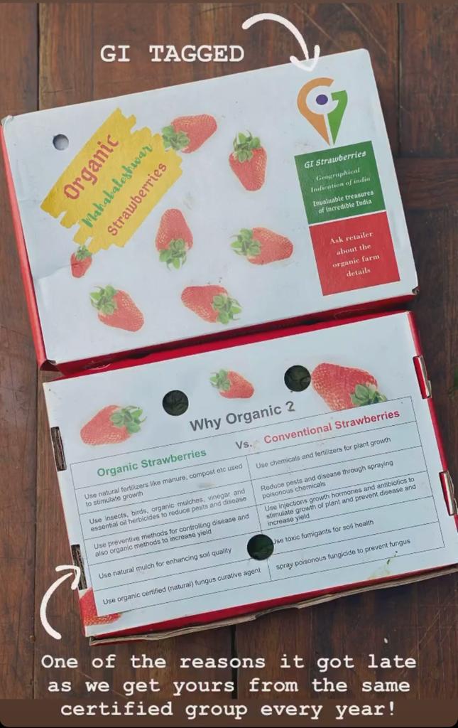 Strawberries - Mahabaleshwar - Certified Organic - 500gm