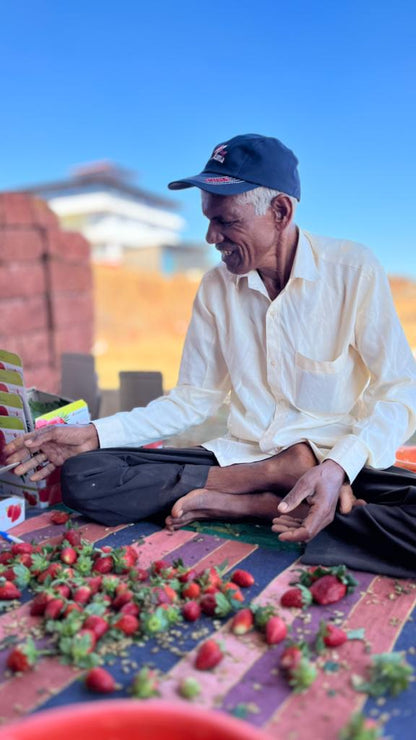 Strawberries - Mahabaleshwar - Certified Organic - 500gm