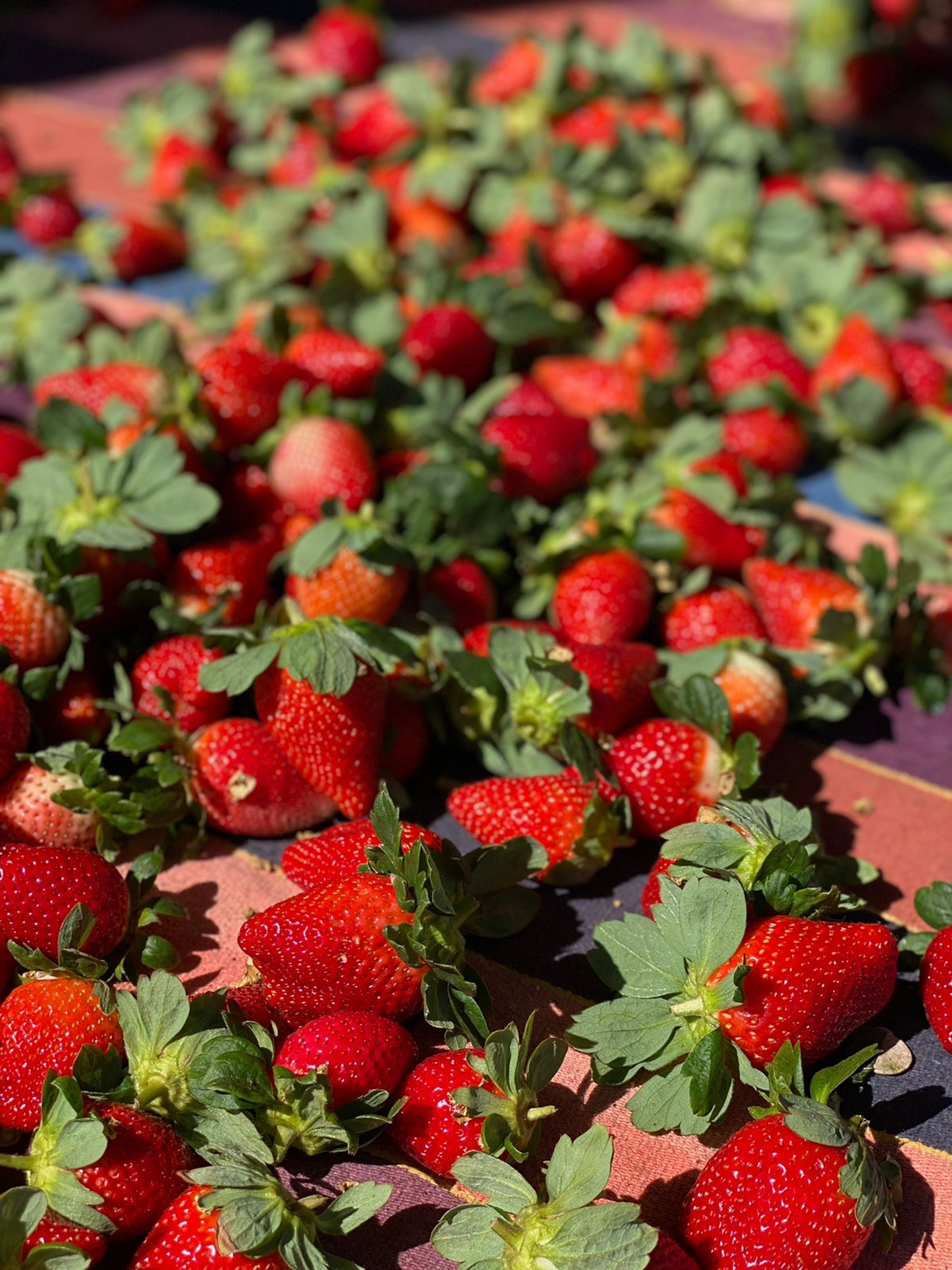 Strawberries - Mahabaleshwar - Certified Organic - 500gm