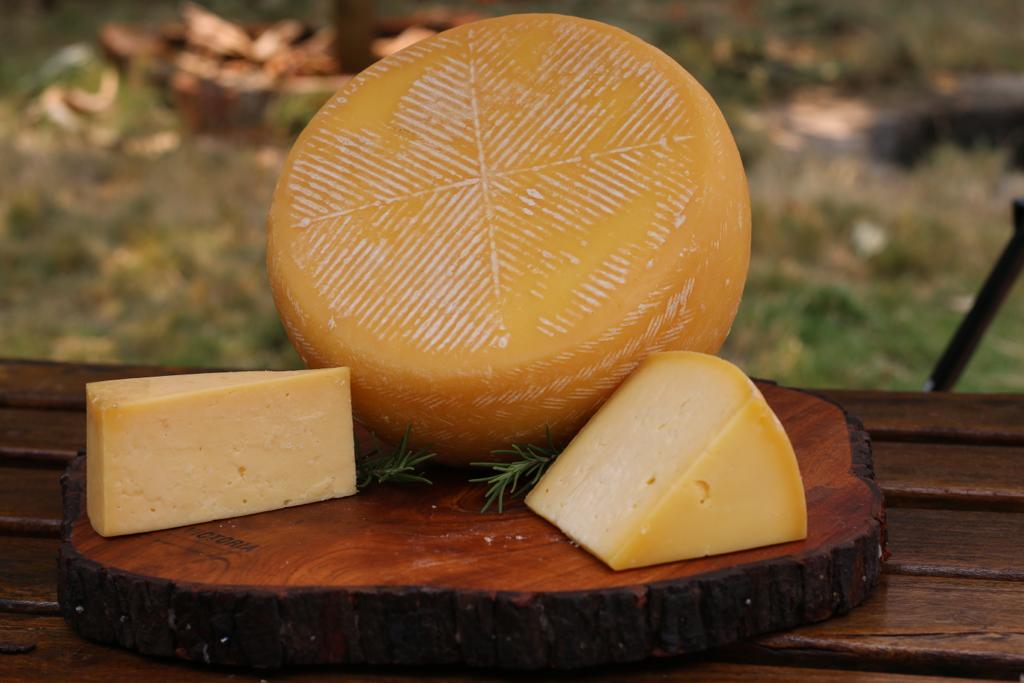 Manchego Cheese | Made Using A2 Cow Milk - Begum Victoria - 200gm