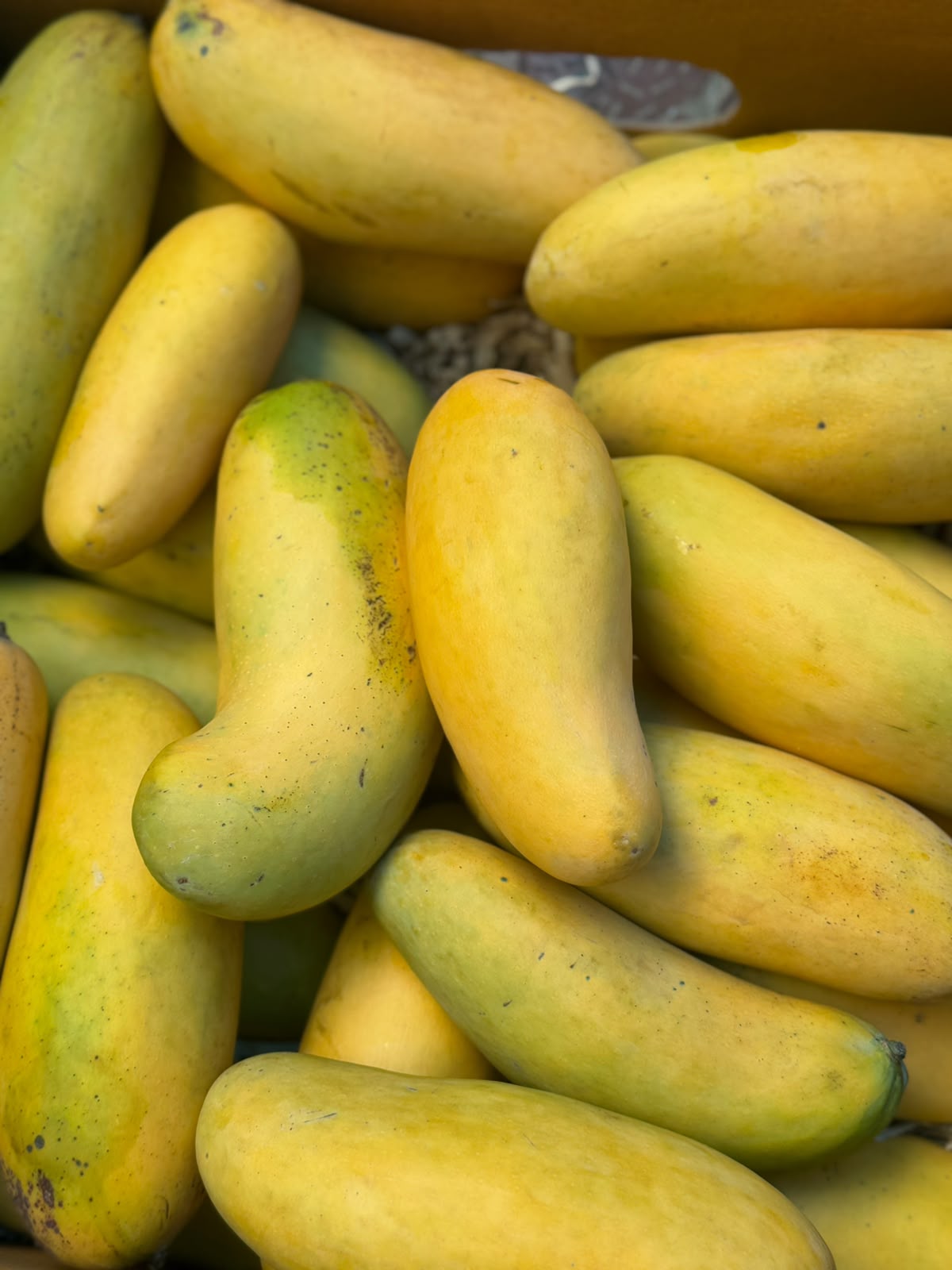 Mango | Banana Mangoes (Saharanpur, Uttar Pradesh)- Organically Grown - Pesticide-Free &amp; Naturally Ripened-Carbide Free