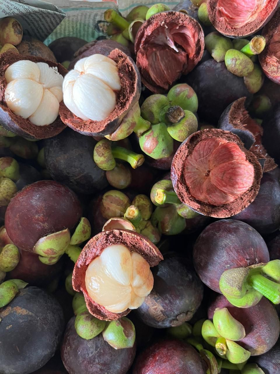 Mangosteen | Kerala – Promotes Weight Loss, Promotes Heart Health, Nourishes Skin Tissues – Organically Grown