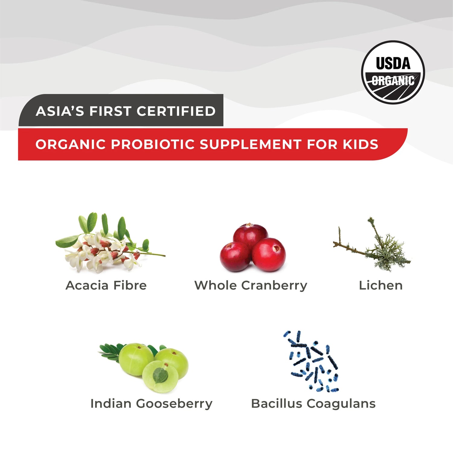 Marvel Active Probiotic (Sweet Cherry) – Melts For Kids – USDA Organic – Vegan &amp;amp; Zero Sugar – Wellbeing Nutrition – 30 Strips