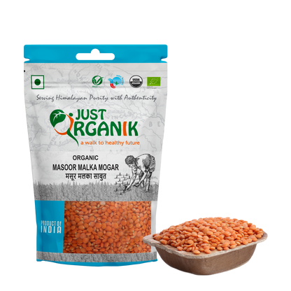 Masoor Malka Whole | USDA Organic - Just Organik – 500gm