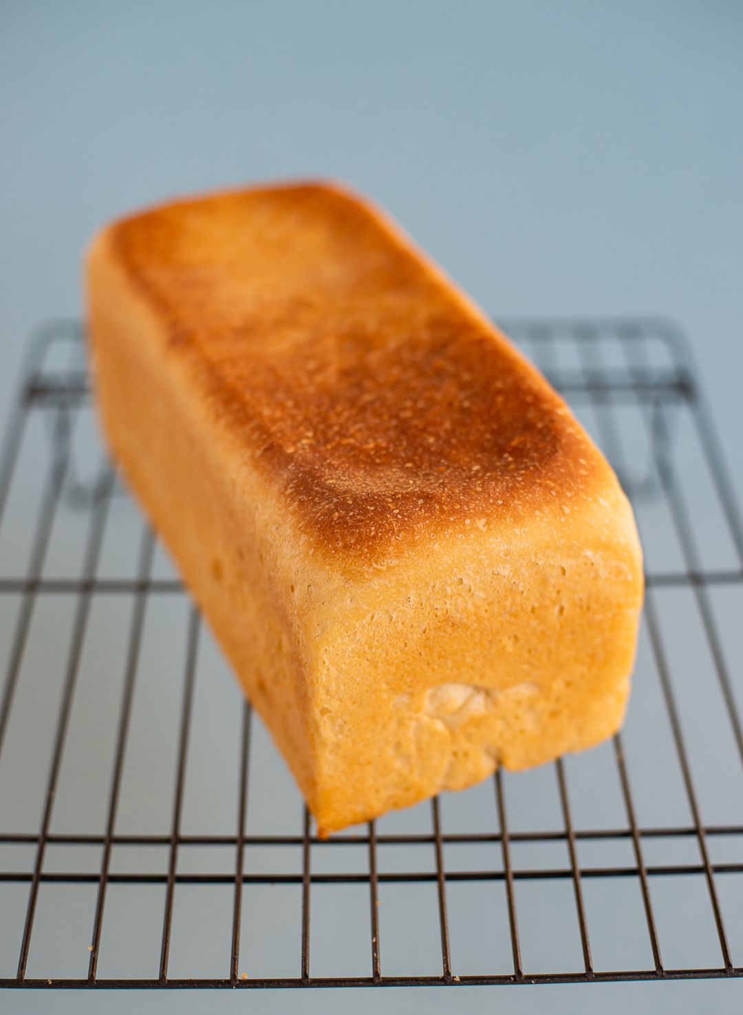 Bread | Milk Bread Everyday Tin Loaf - No Bread Improver, Emulsifiers, Stabiliser, No Preservatives & No Flavour Enhancer Or No Refined Sugar – Earthy Grains – 400gm