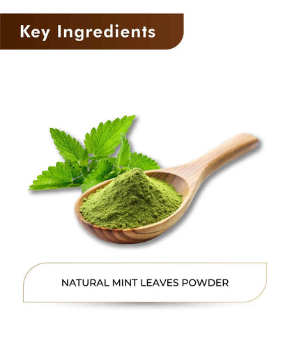 Natural Mint Leaves Powder (Mentha) - 100% Natural - Refreshing Skin &amp; Scalp- H&amp;C - 100gm