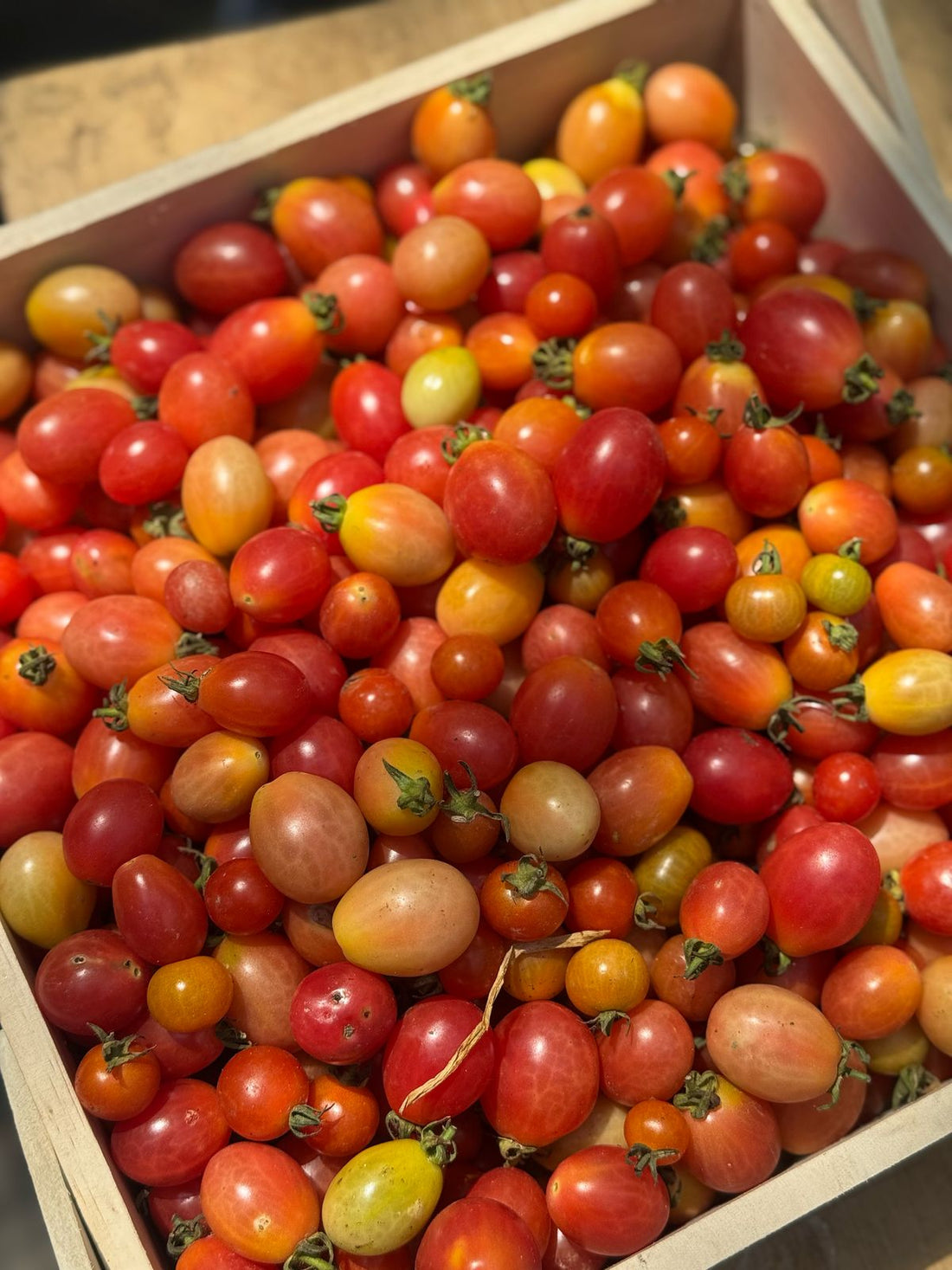 Tomato | Mixed Cherry Grape Tomatoes (Saharanpur) - Certified organic Land - 200gm
