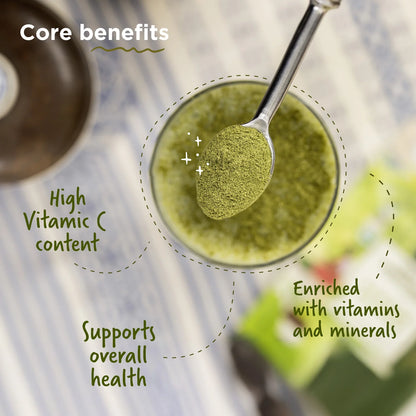Moringa Powder | Drumstick Leaves Powder - Lab Tested - Naturally Dried - High In Vitamin C, Chemical Free &amp; No Added Preservatives - Two Brothers - 100gm