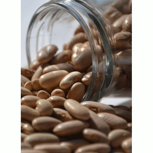 Rajma | Munsiyari Rajma-USDA Organic – Himalaya 2 Home – 500gm