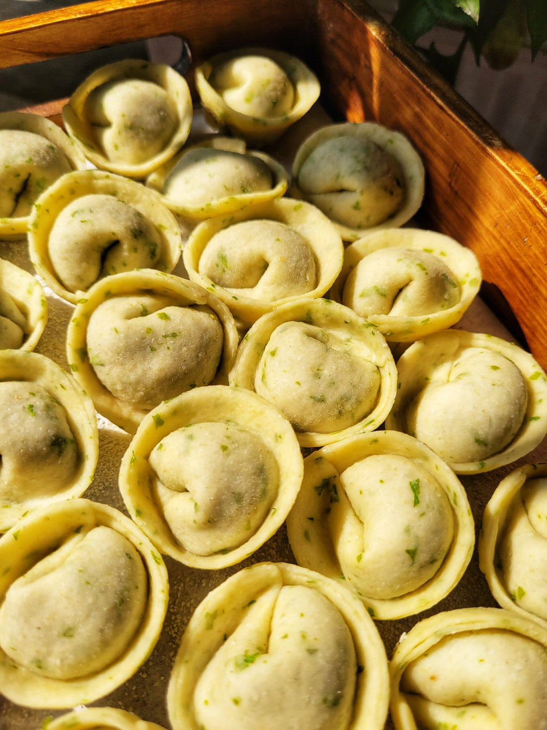 Pasta | Cappelletti (Mushroom & Truffle) - With 20gm Herb Butter - Handmade - Dairy Free, No Maida, Preservatives & Sugar Free - Nature&