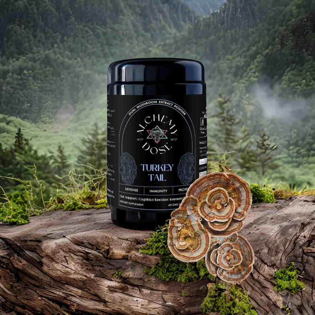 Mushroom Powder | Turkey Tail – Cognitive Function – Gut Support – Immune Support – Vegan, Gluten Free, Cholesterol Free, Soy Free, Peanut Free & Dairy Free – Alchemy Dose – (30 Serving) – 30gm