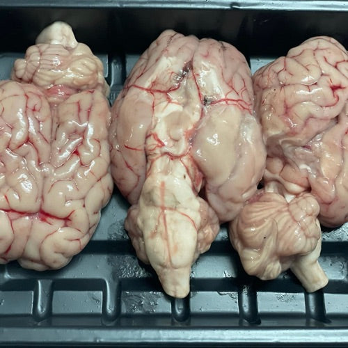 Mutton | Mutton Brain - Farm Fresh Mutton Brain -Safely Processed – Pasture Raised &amp;amp; Grass Fed – No Antibiotics And Hormone Free – Nature’s Soul – (Per Brain)