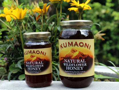 Natural Wildflower Honey – Kumaoni – 500gm