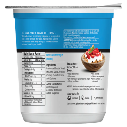 Yogurt |Natural Greek Yogurt - High In Protein &amp; No Added Preservatives – Epigamia - 85gm
