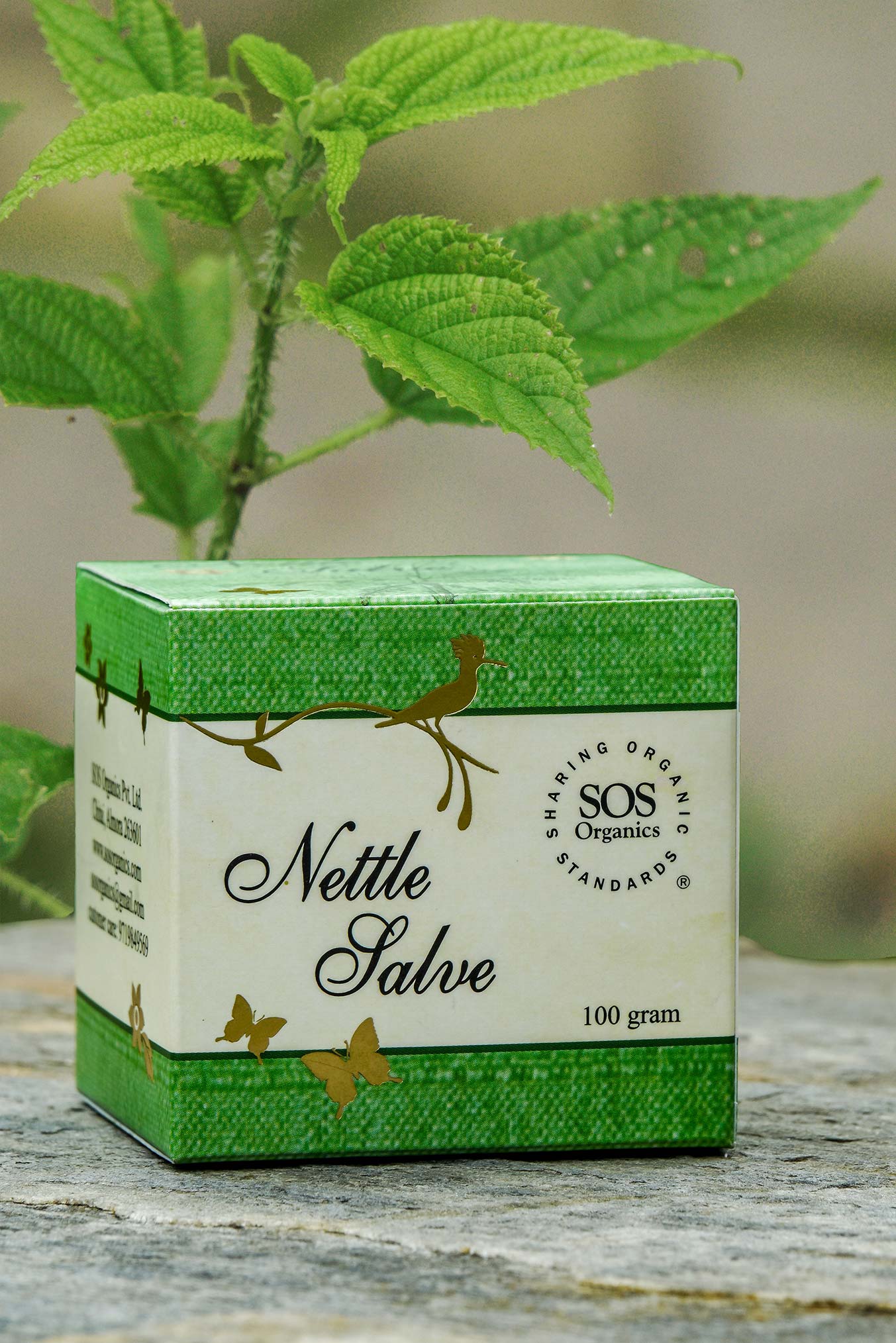 Nettle Salve - Sos Organics - 100gm